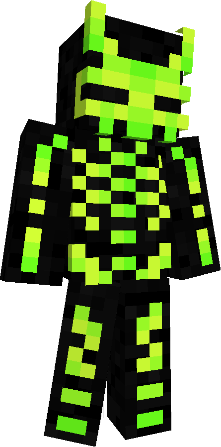 .raid1219's skin