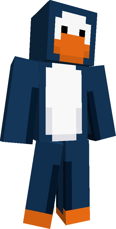 zdysk's skin