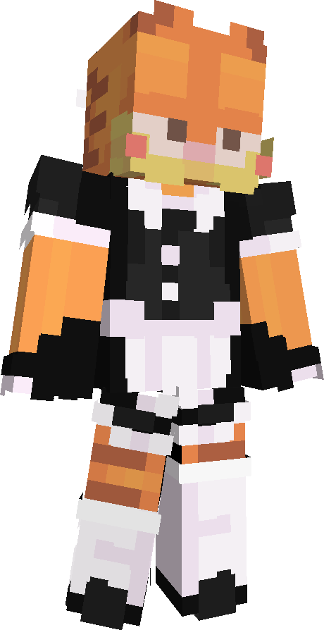 a_shetland_pony's skin