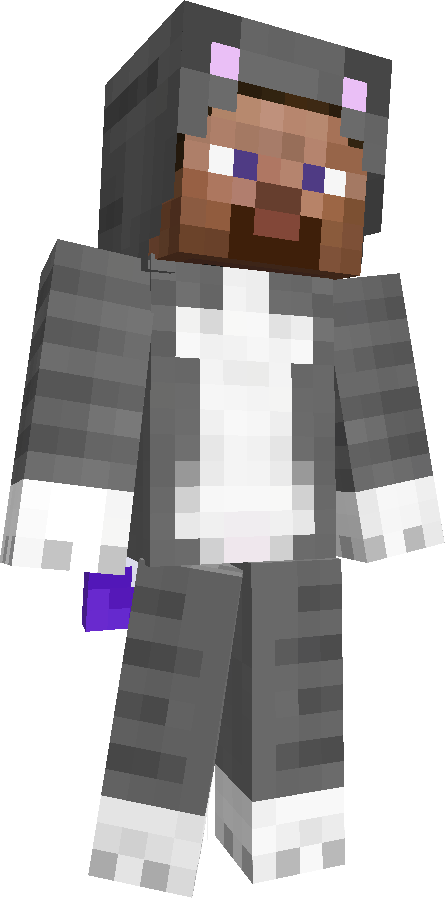 player's skin