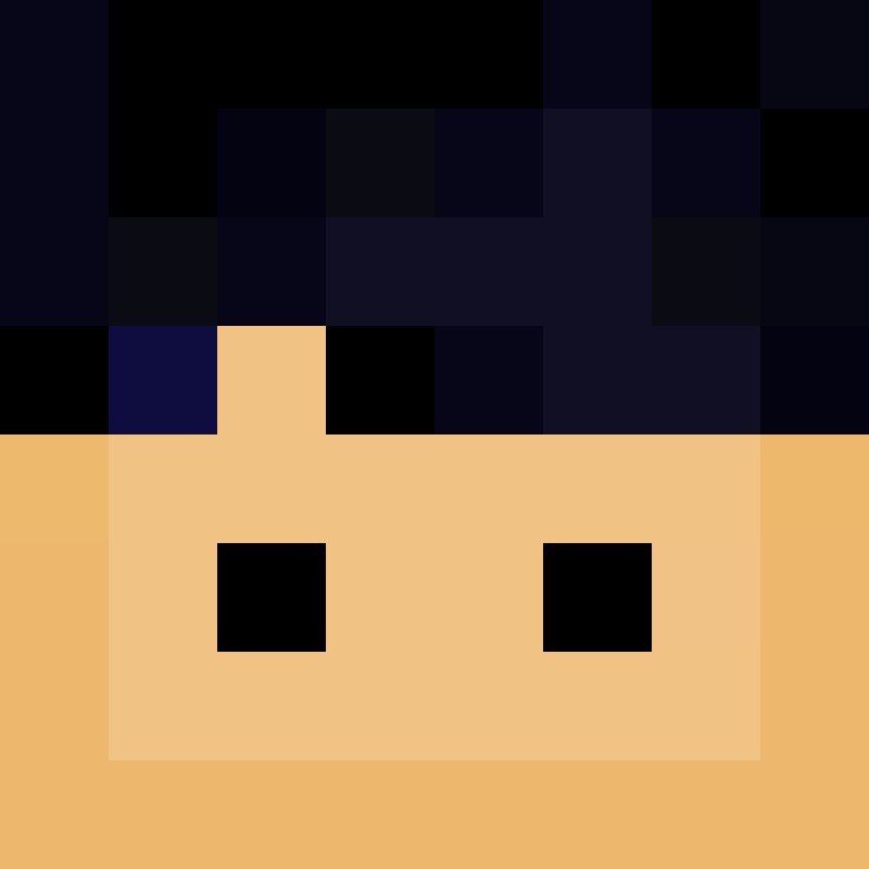 minerboi555fun's avatar