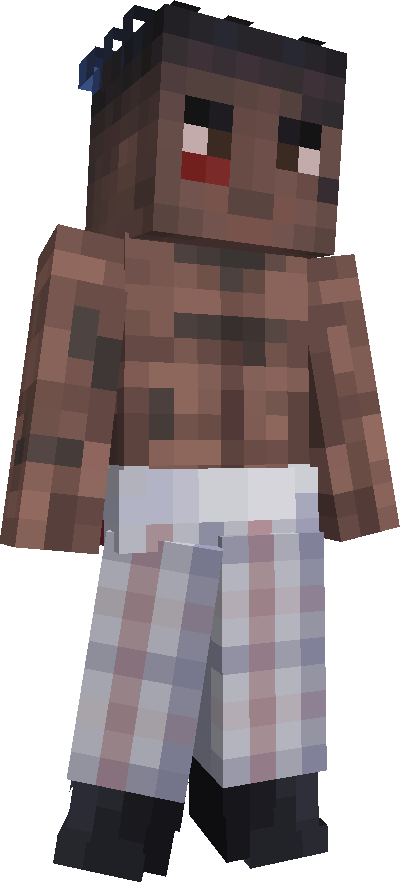pixerlion's skin