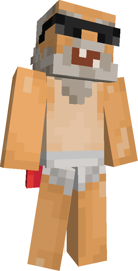 zivha's skin