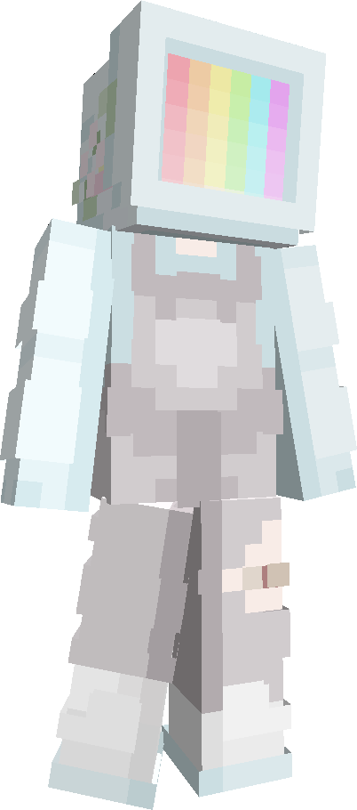 chiccken's skin