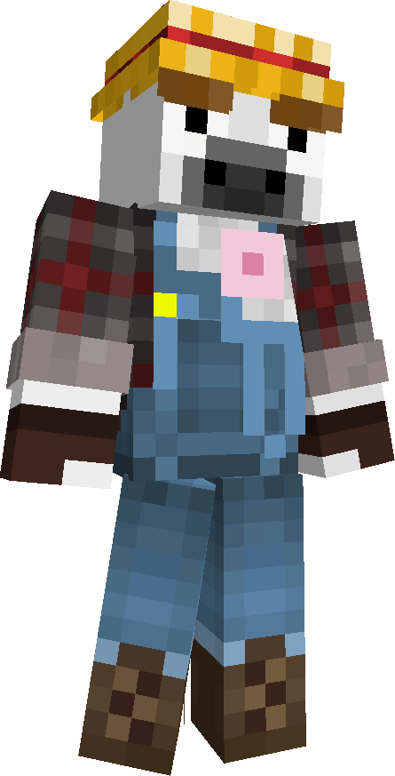 tnt_koning's skin