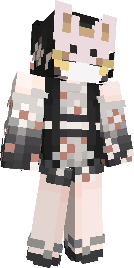 drconflict's skin
